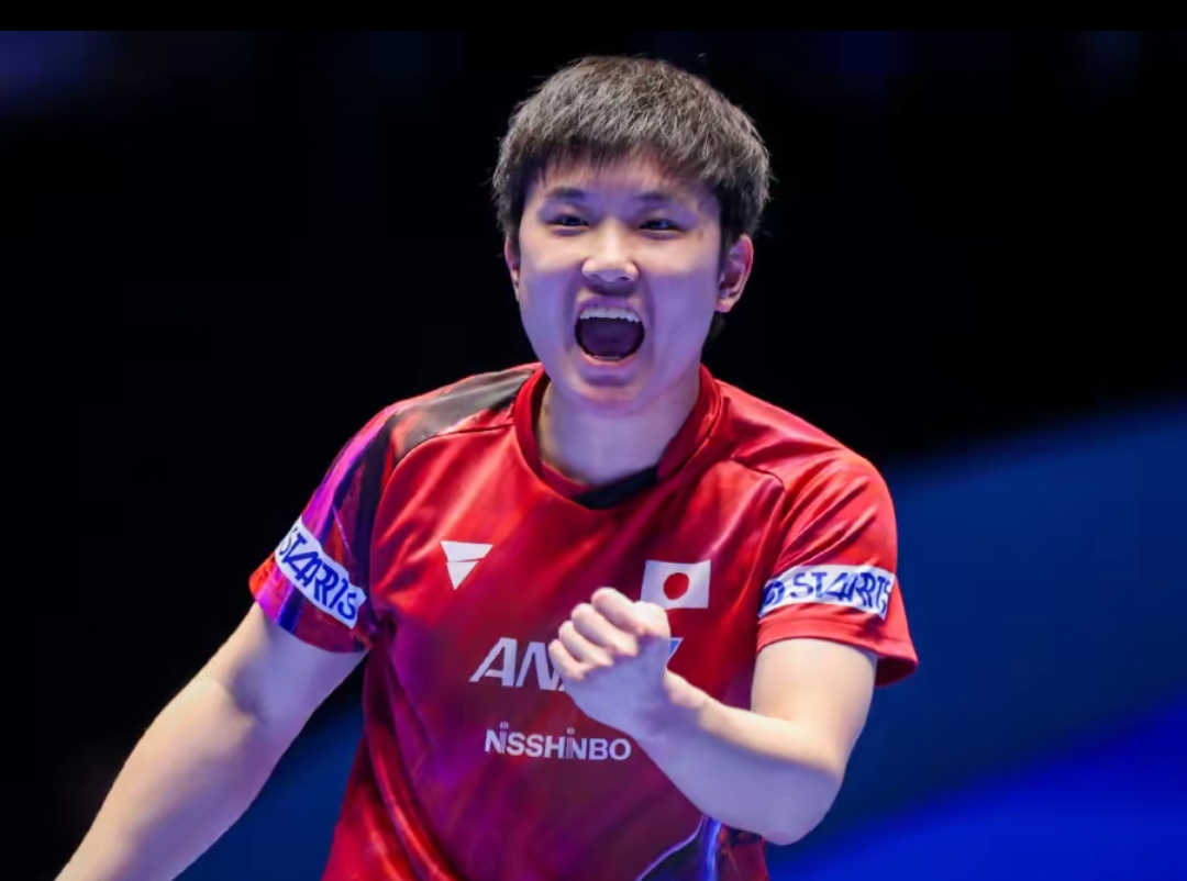 但辛纳无疑 但辛纳无疑