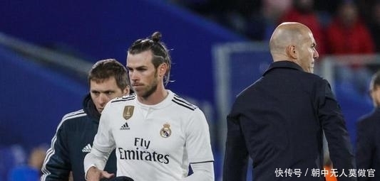 球圈广泛的 球圈广泛的